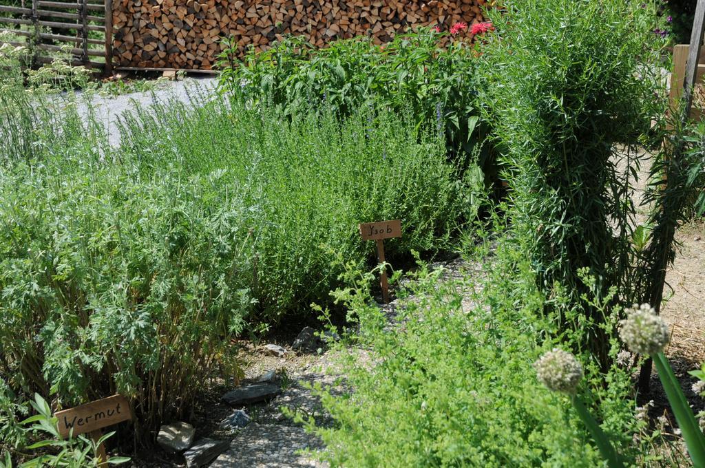 Sulamith Ferienhaus Mit Garten Sankt Kathrein am Offenegg Exterior foto