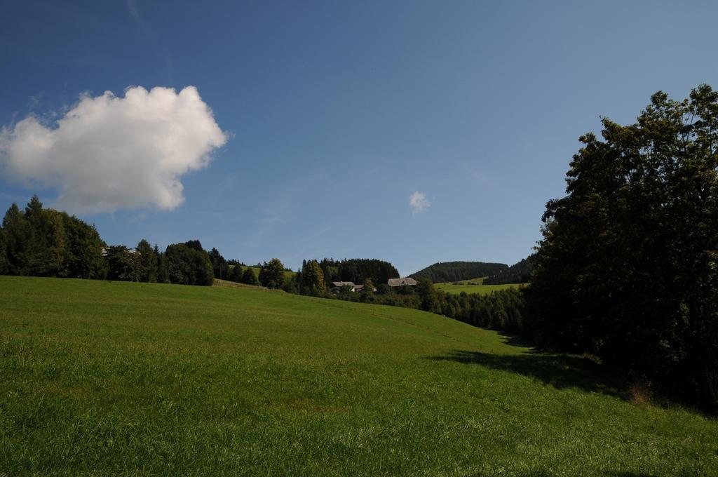 Sulamith Ferienhaus Mit Garten Sankt Kathrein am Offenegg Exterior foto